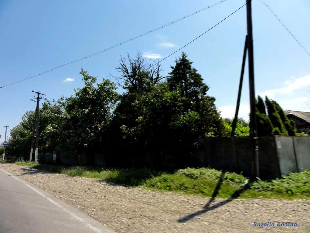 Острыня