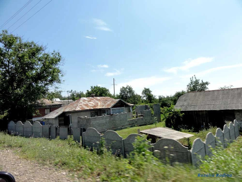 Острыня