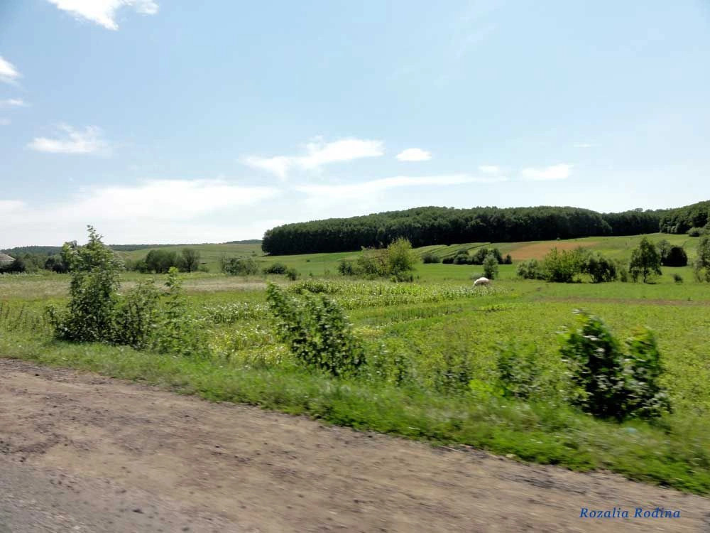 Клубовцы