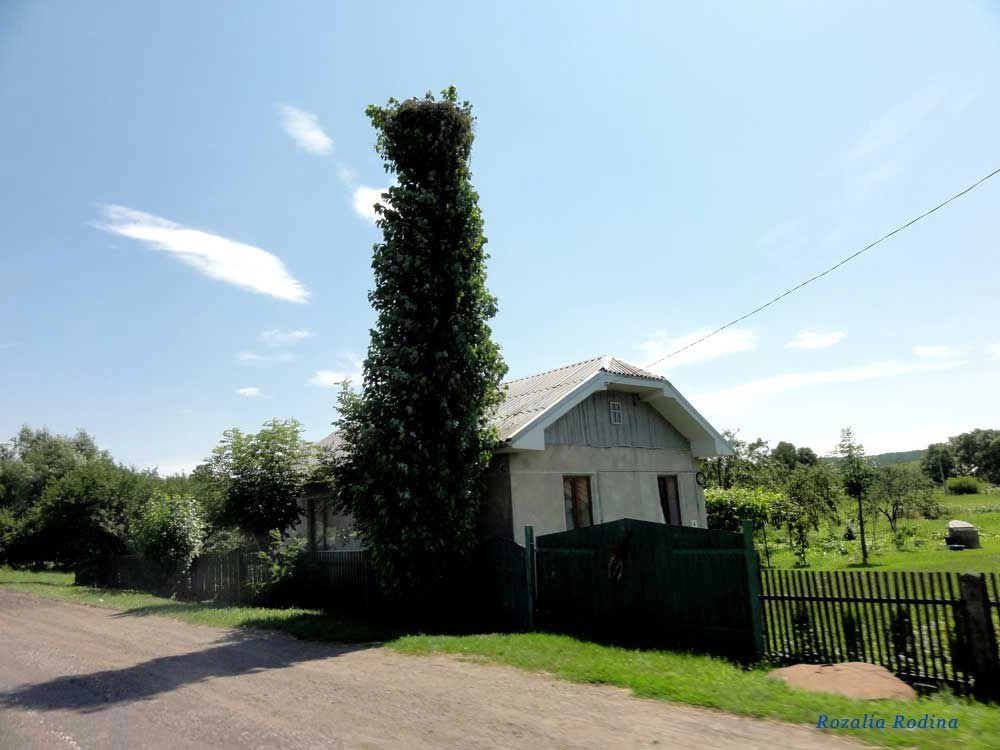 Клубовцы