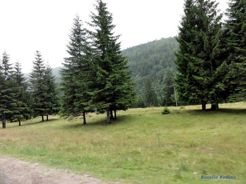 Яремчанский горсовет