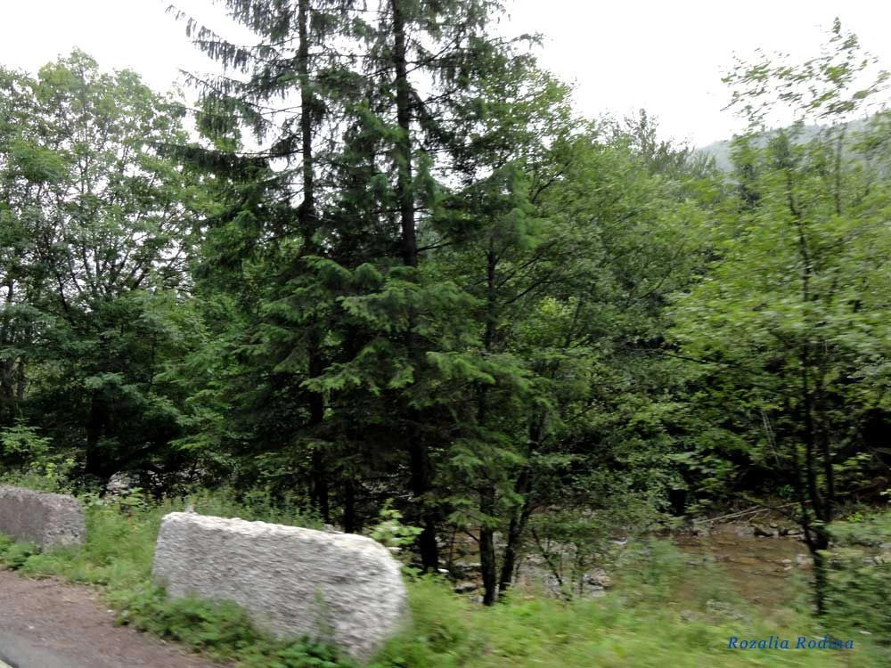 Татаров