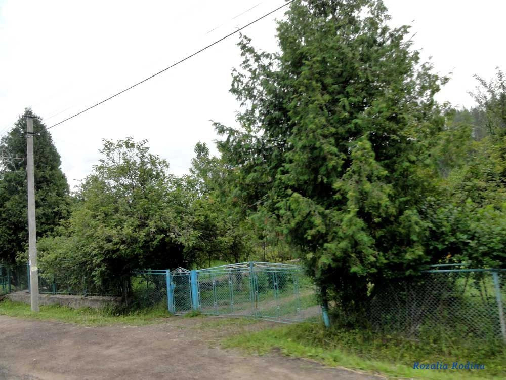 Яремчанский горсовет