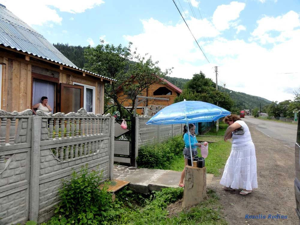 Яремчанский горсовет