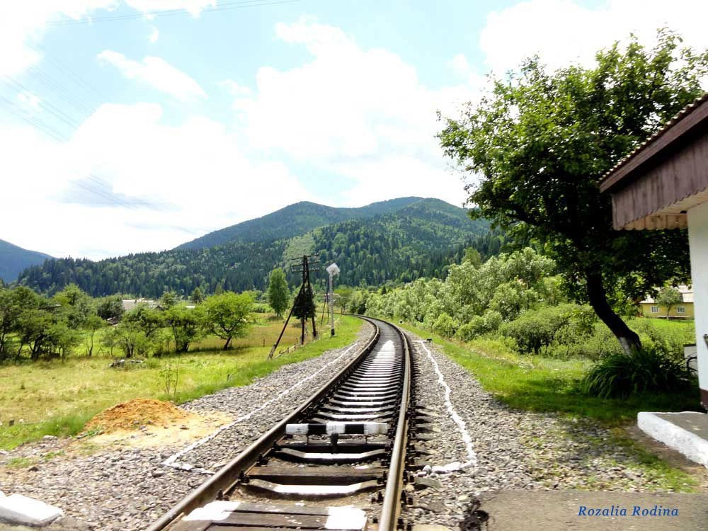 Татаров