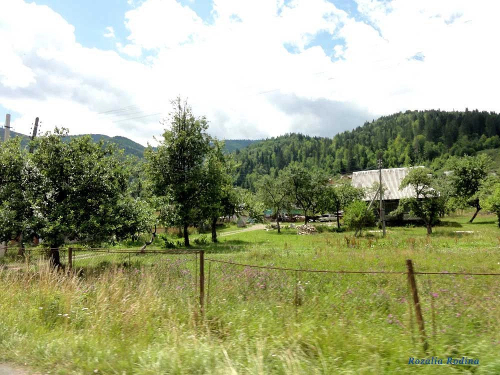 Татаров