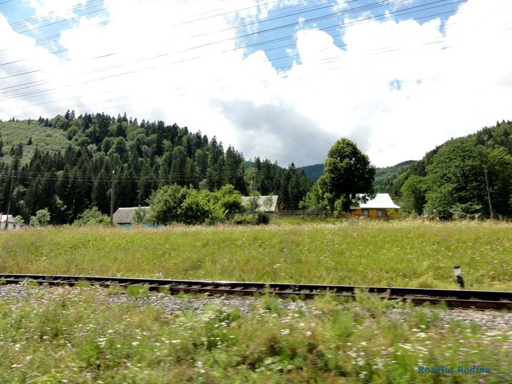 Татаров