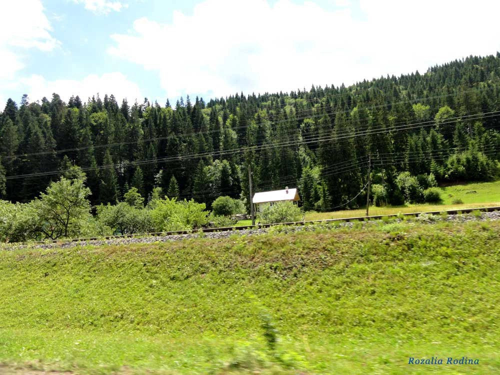 Татаров