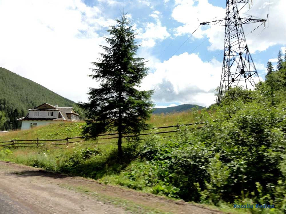 Татаров