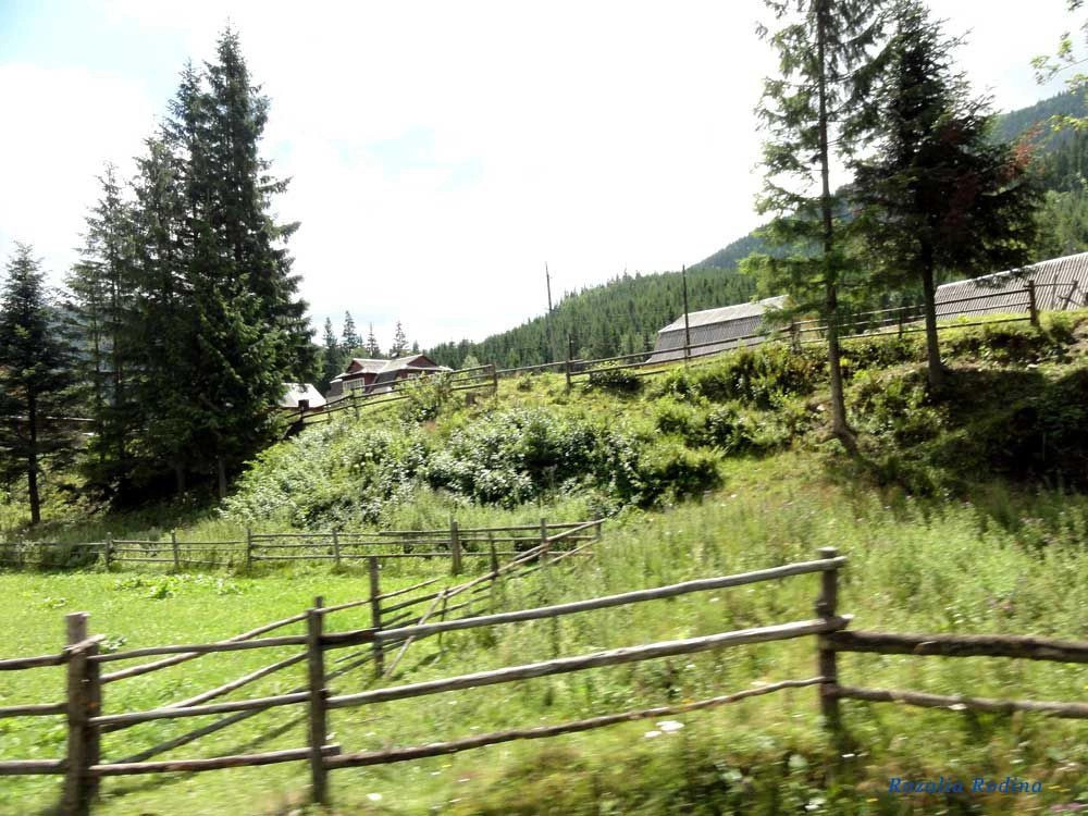 Татаров