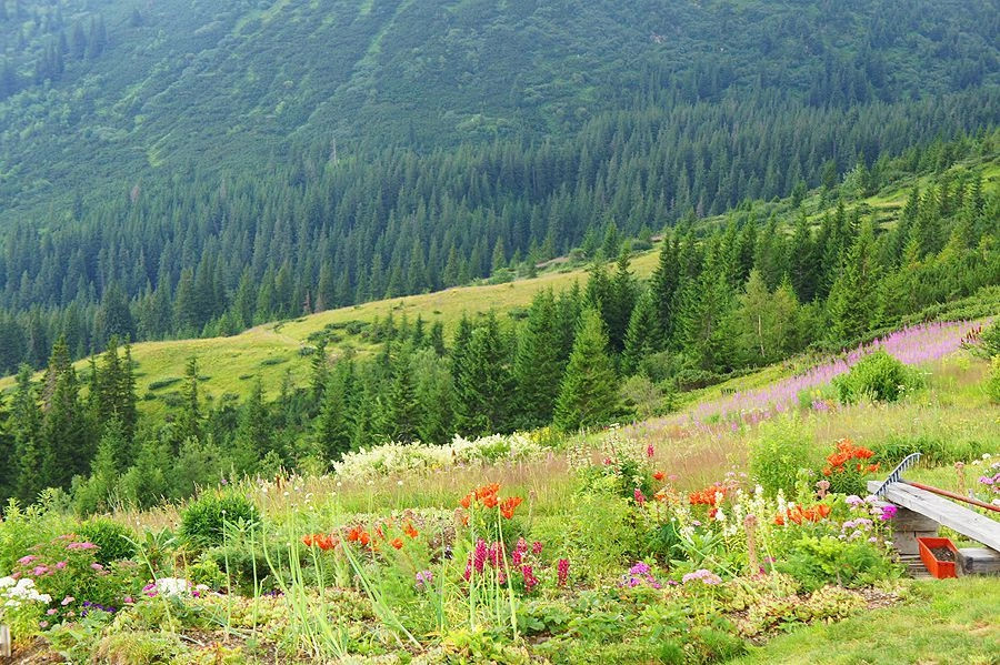Яремчанский горсовет