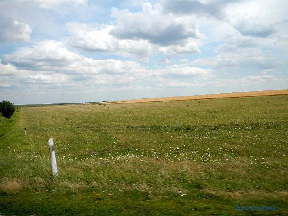 Доброполе