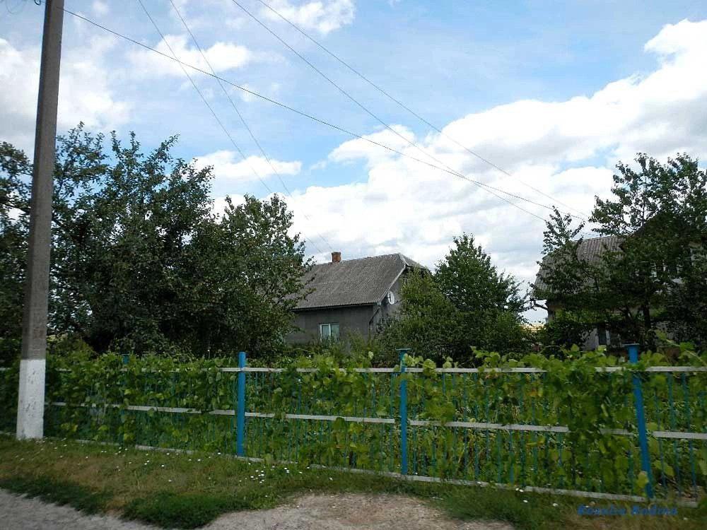 Бучачский район