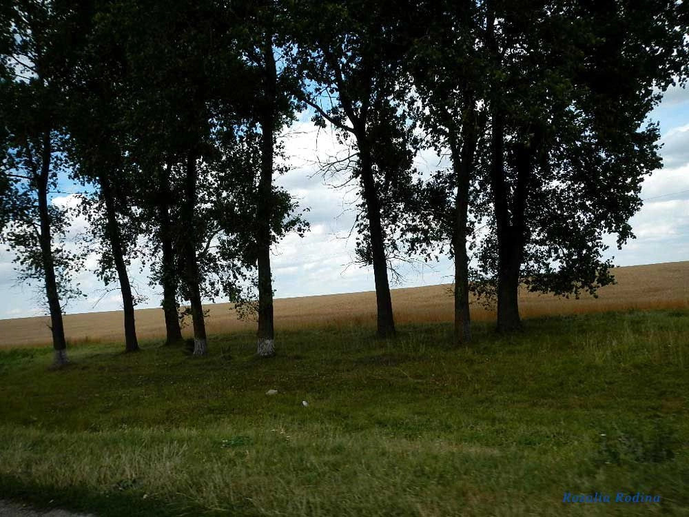 Зелёная (Бучачский р-н)