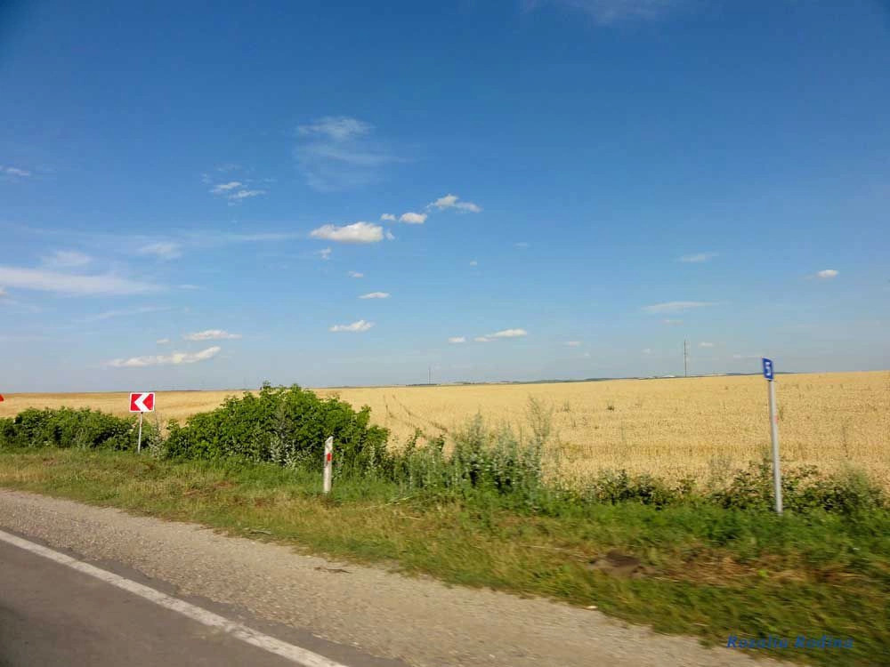 Черниховцы