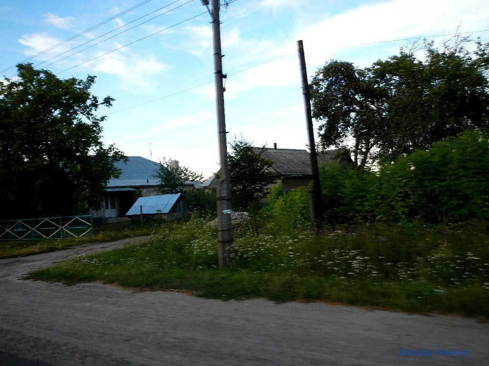 Колодное (Збаражский р-н)