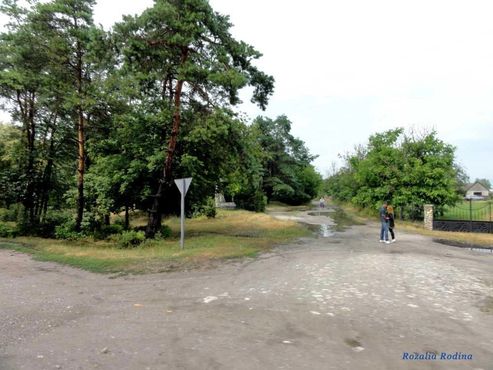 Крыжи