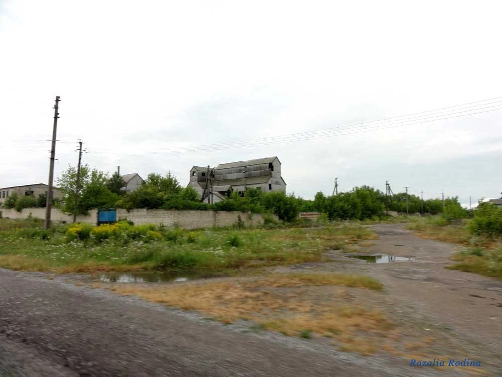 Крыжи
