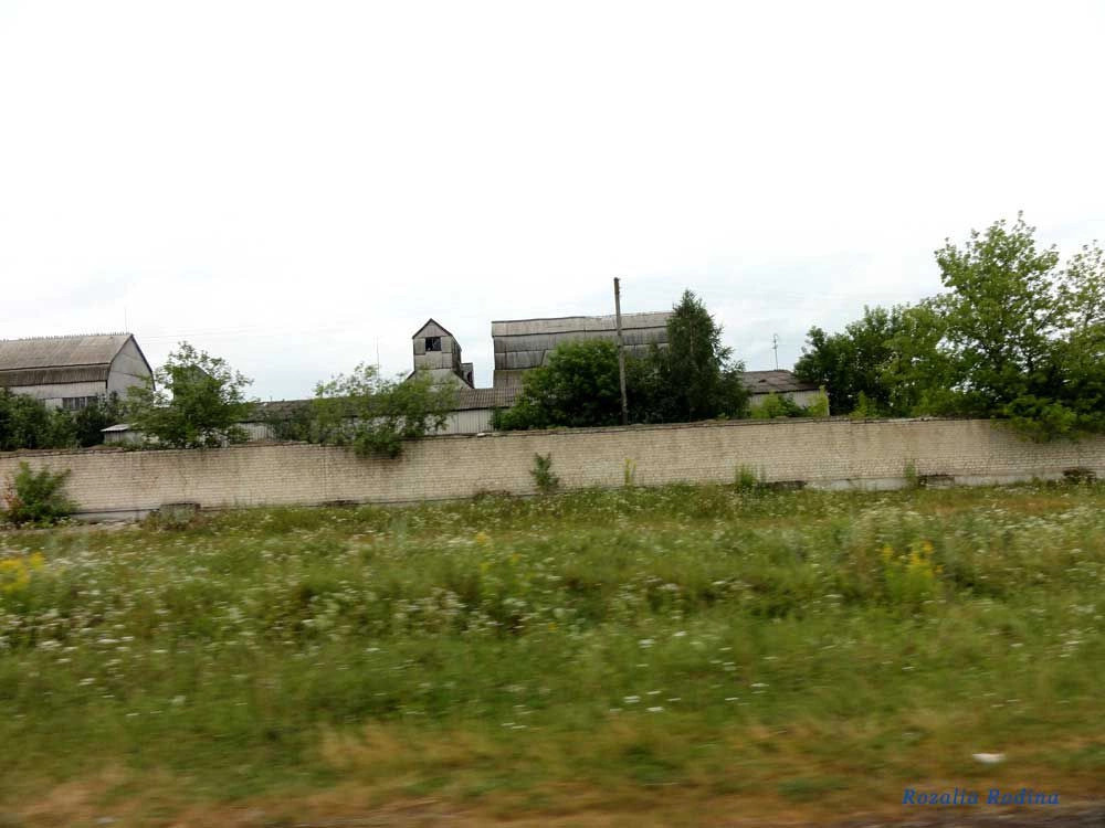 Крыжи