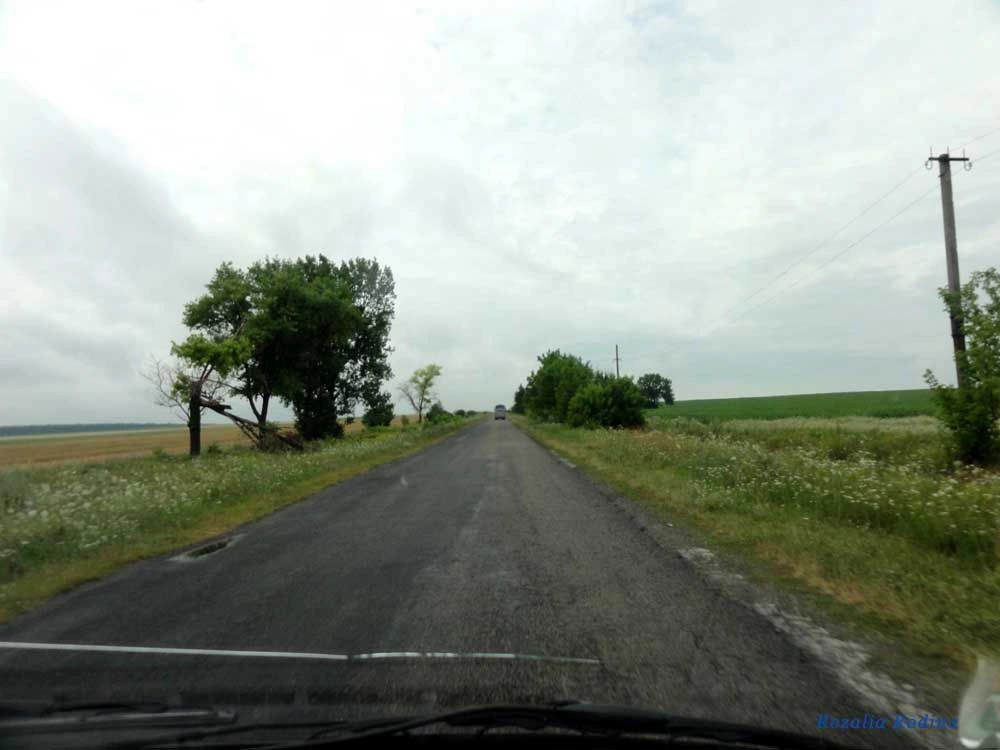 Крыжи