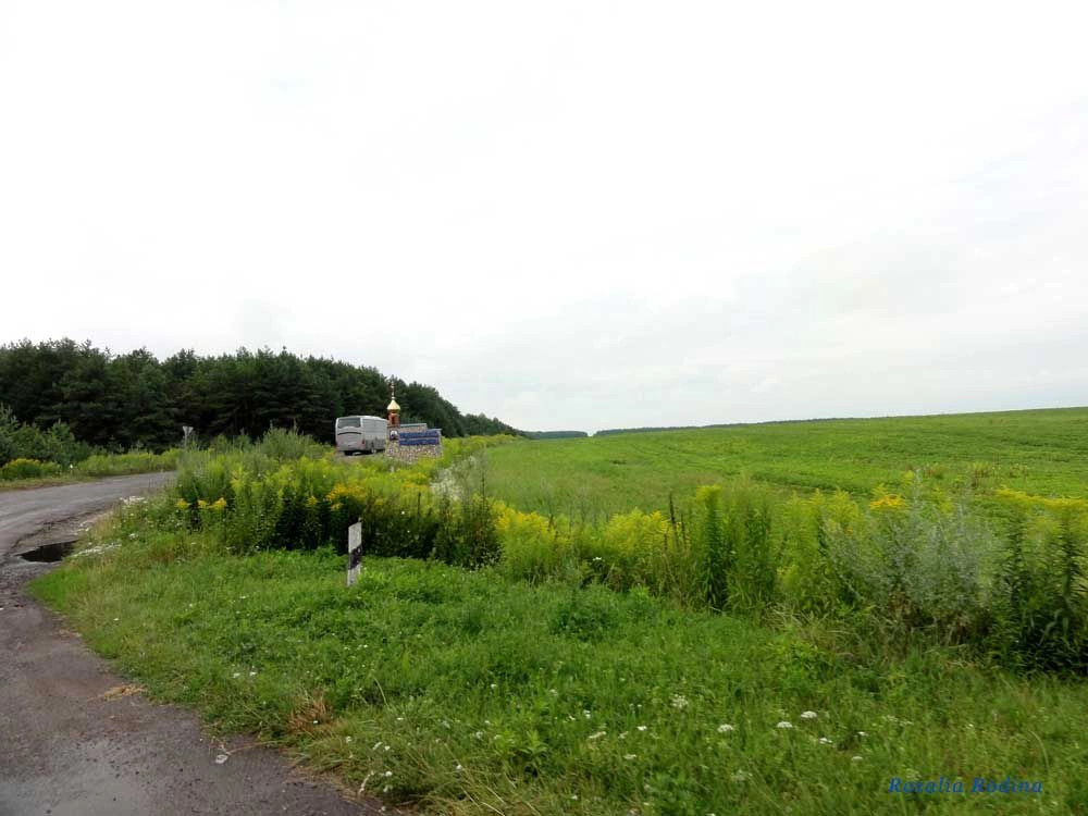 Крыжи