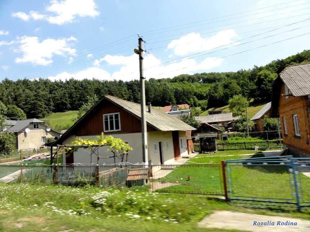 Криница