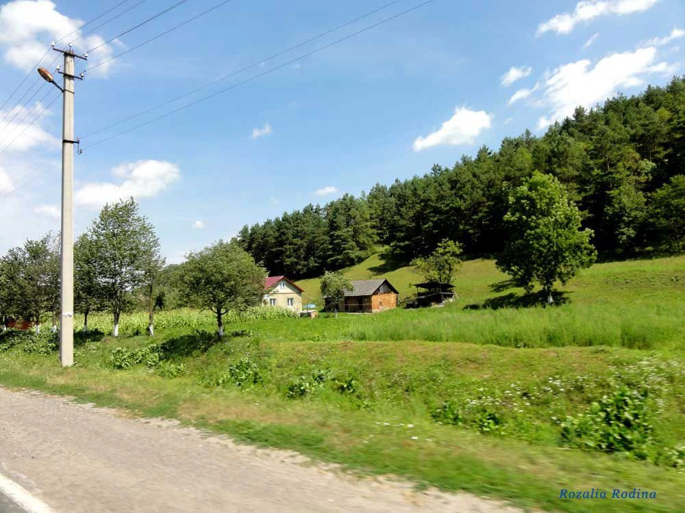 Криница