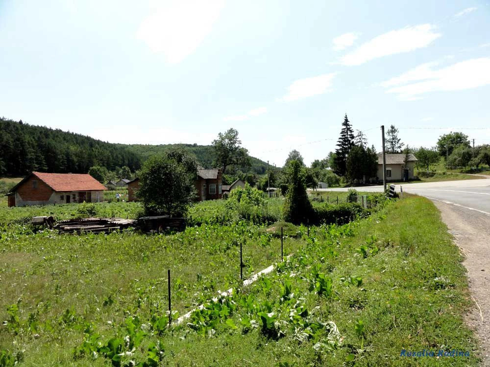 Криница