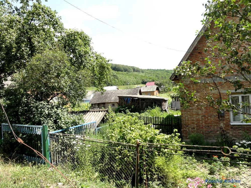 Криница