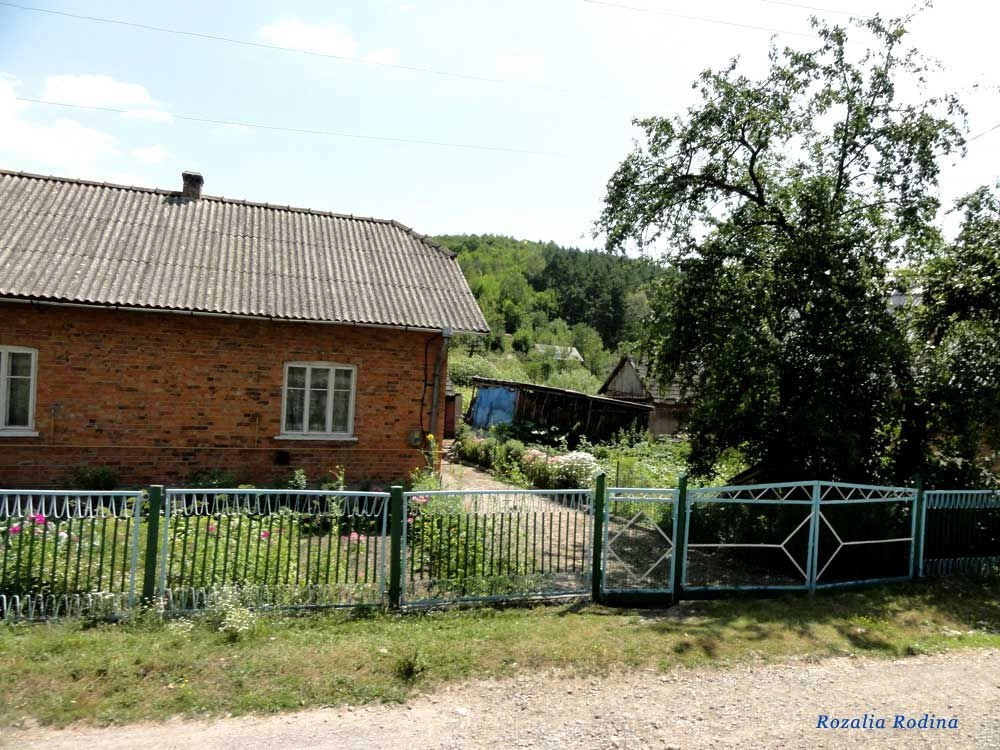 Криница