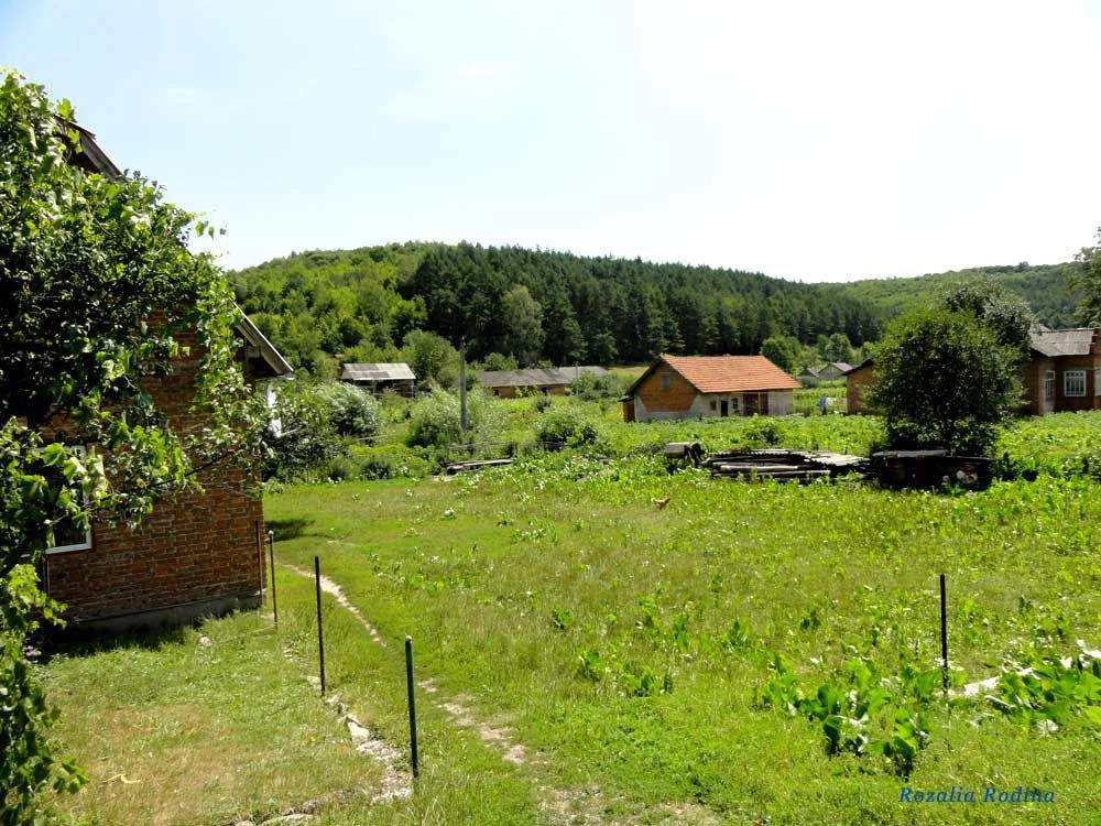 Криница