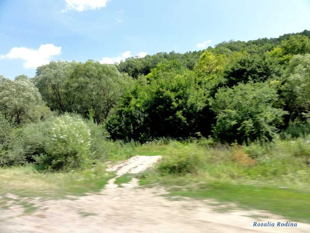 Гончаровка (Монастырисский р-н)