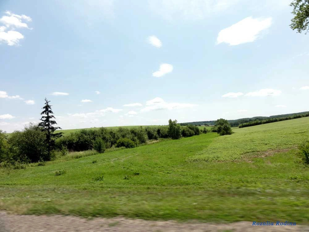 Гончаровка (Монастырисский р-н)