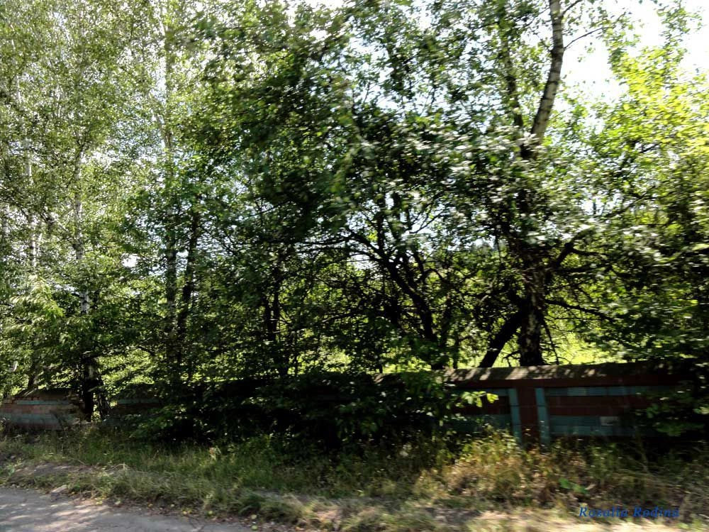 Комаровка (Монастырисский р-н)