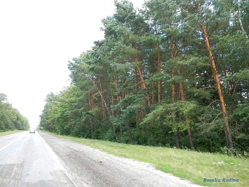 Варваринцы