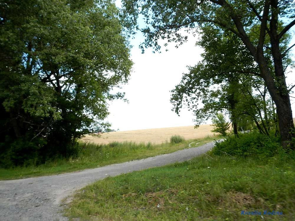 Варваринцы