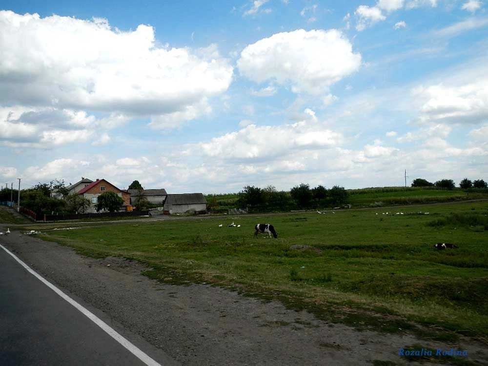 Дарахов