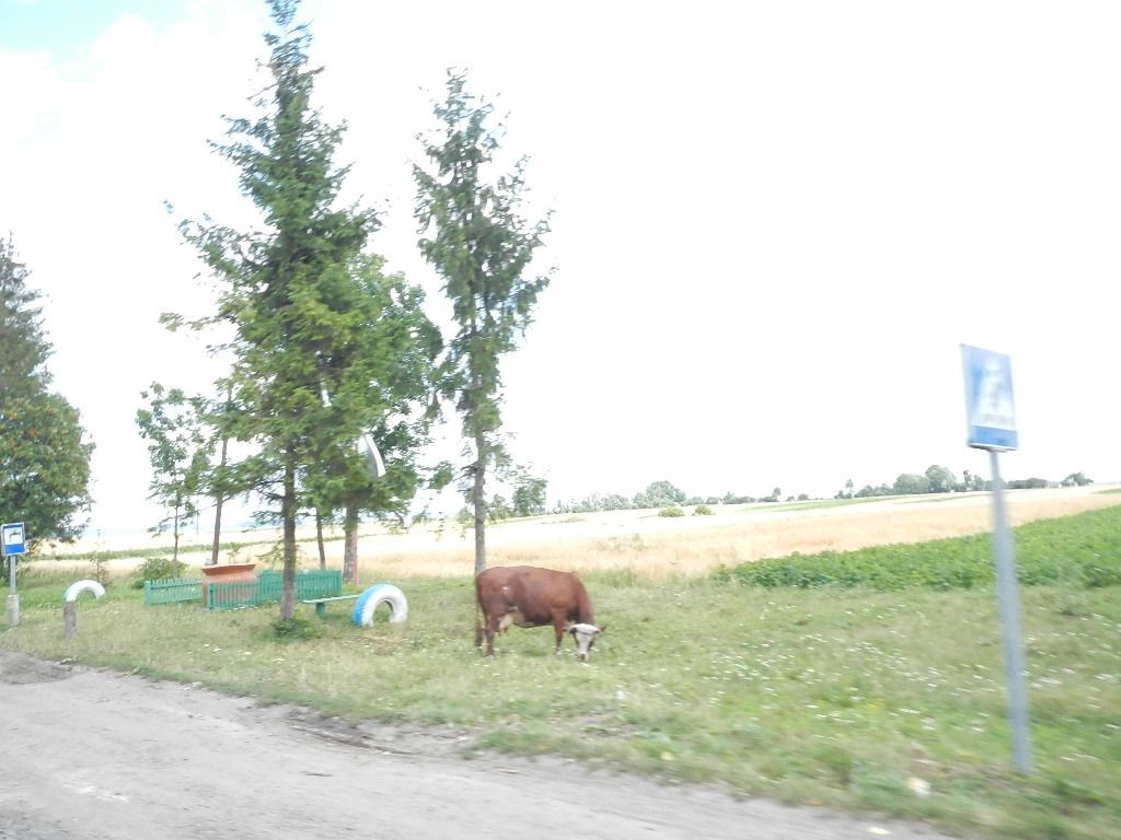 Старая Брыкуля