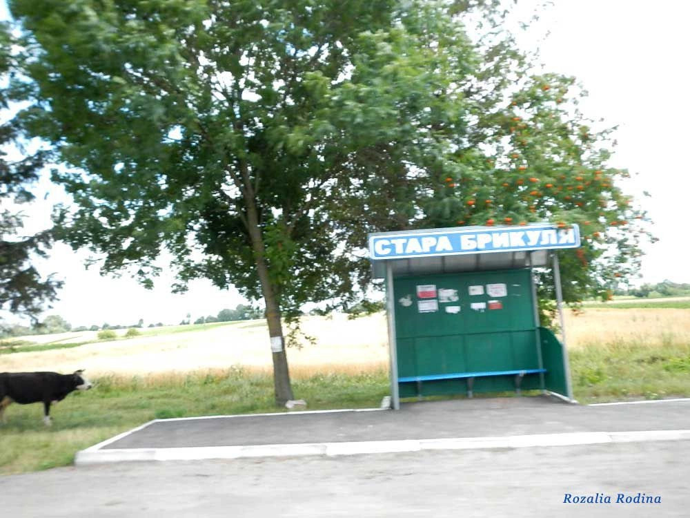 Теребовлянский район