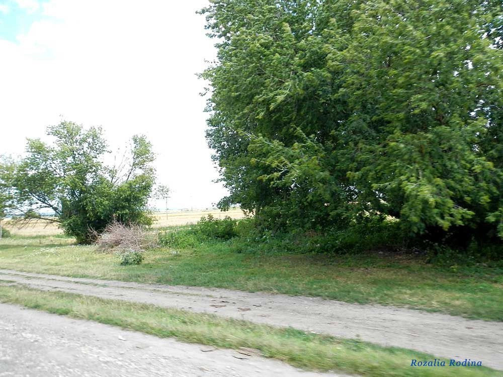 Старая Брыкуля