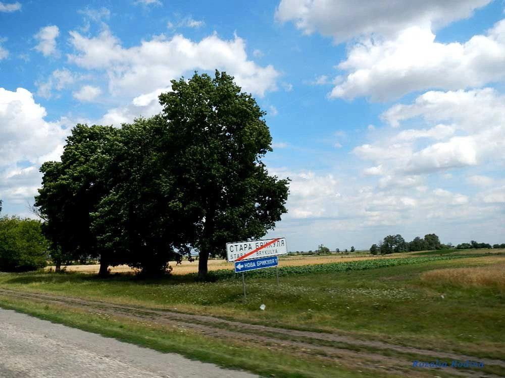 Старая Брыкуля