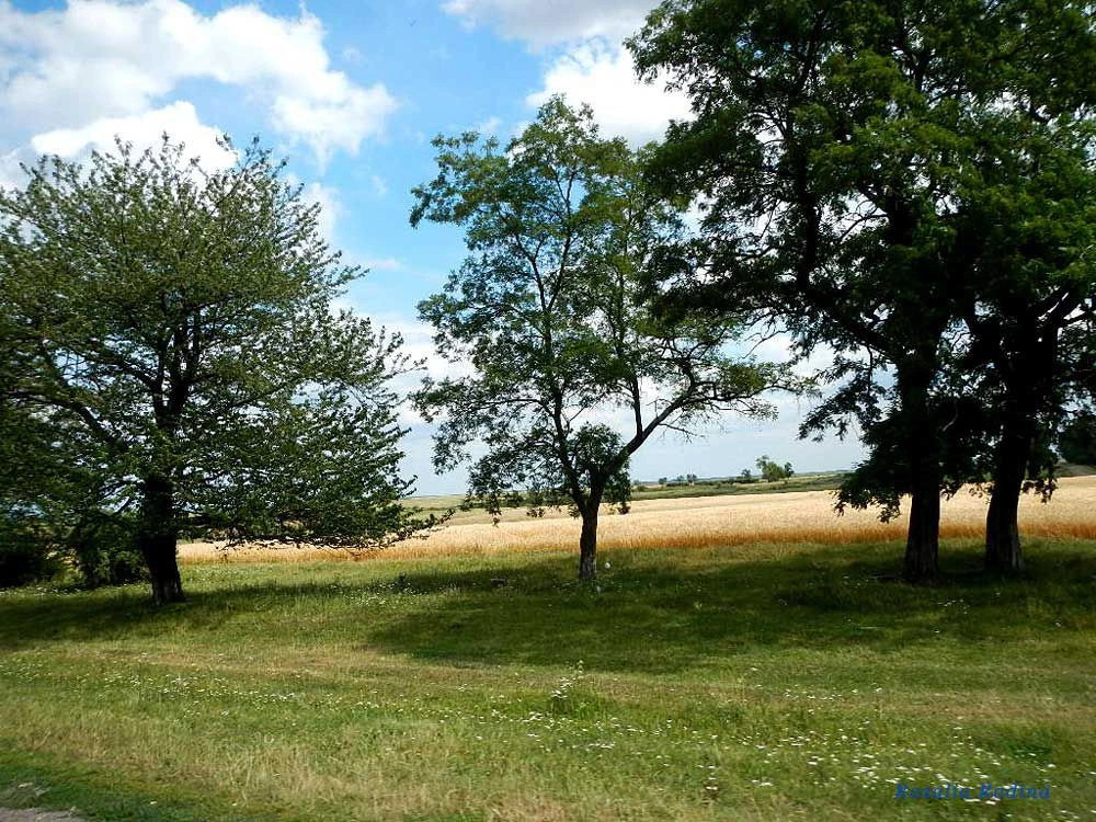 Старая Брыкуля