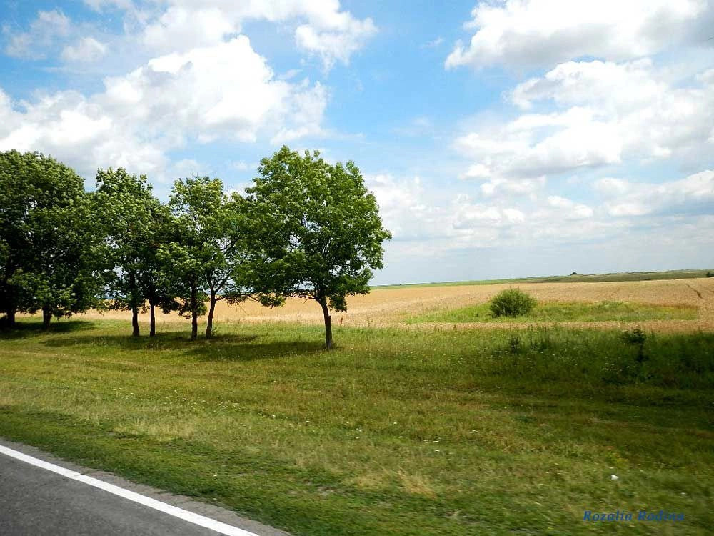 Старая Брыкуля