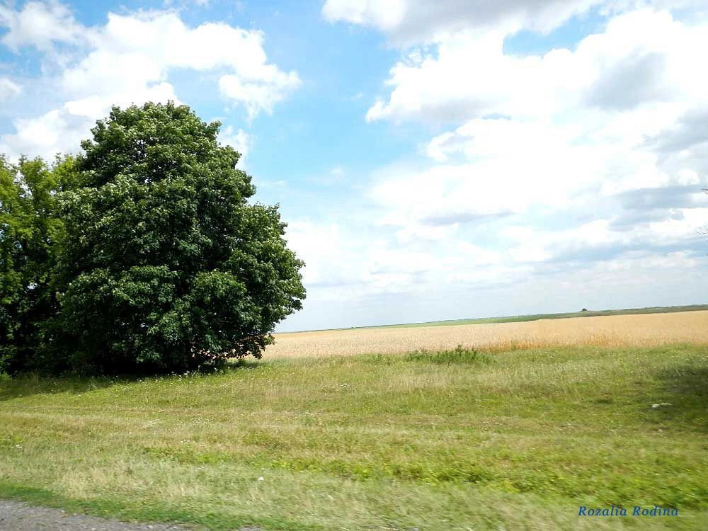 Старая Брыкуля