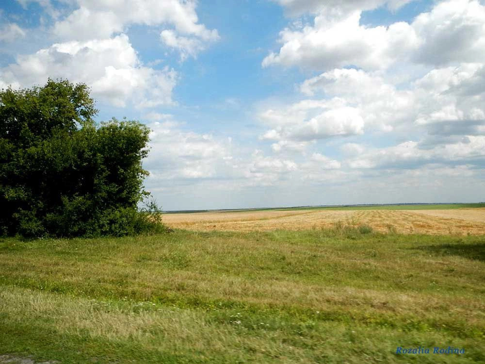 Старая Брыкуля