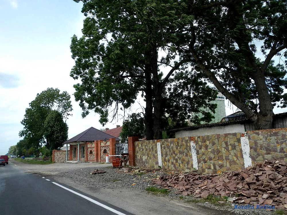 Теребовлянский район
