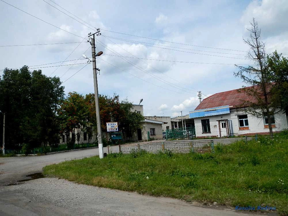 Дружба