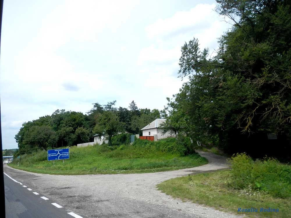 Дружба