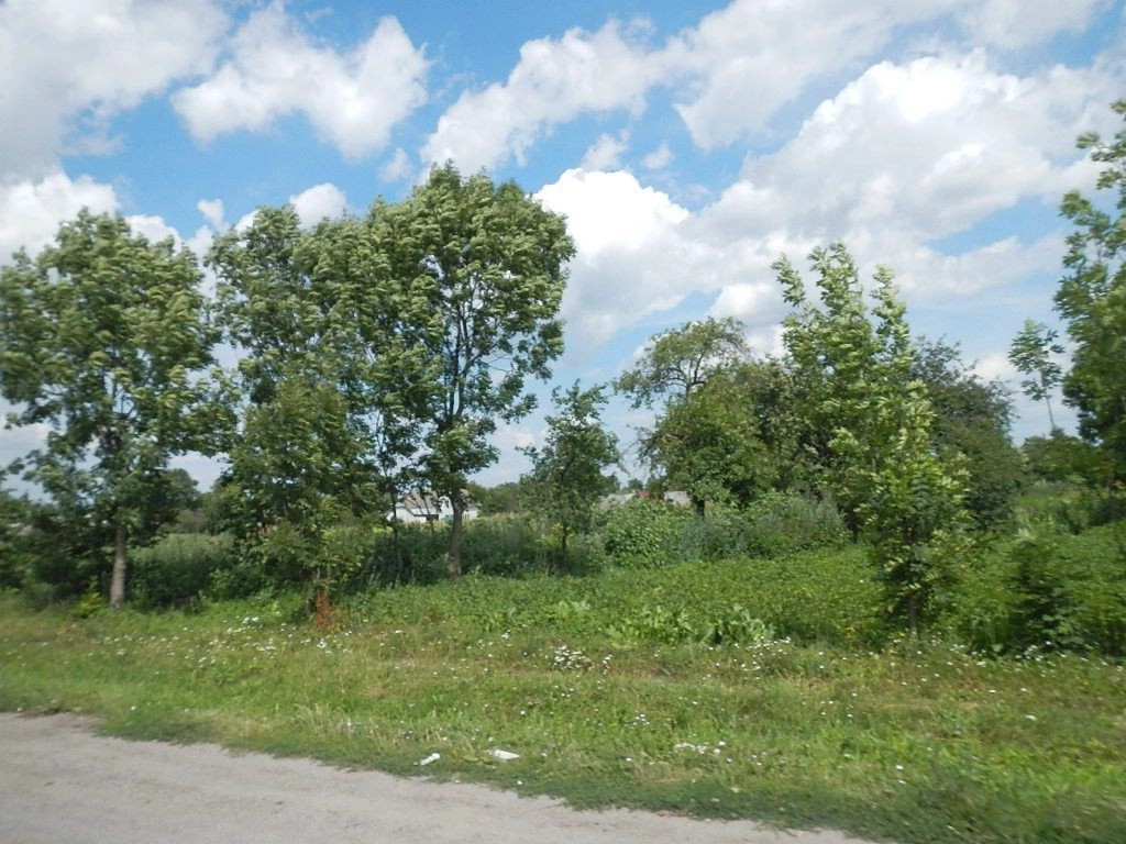 Теребовлянский район