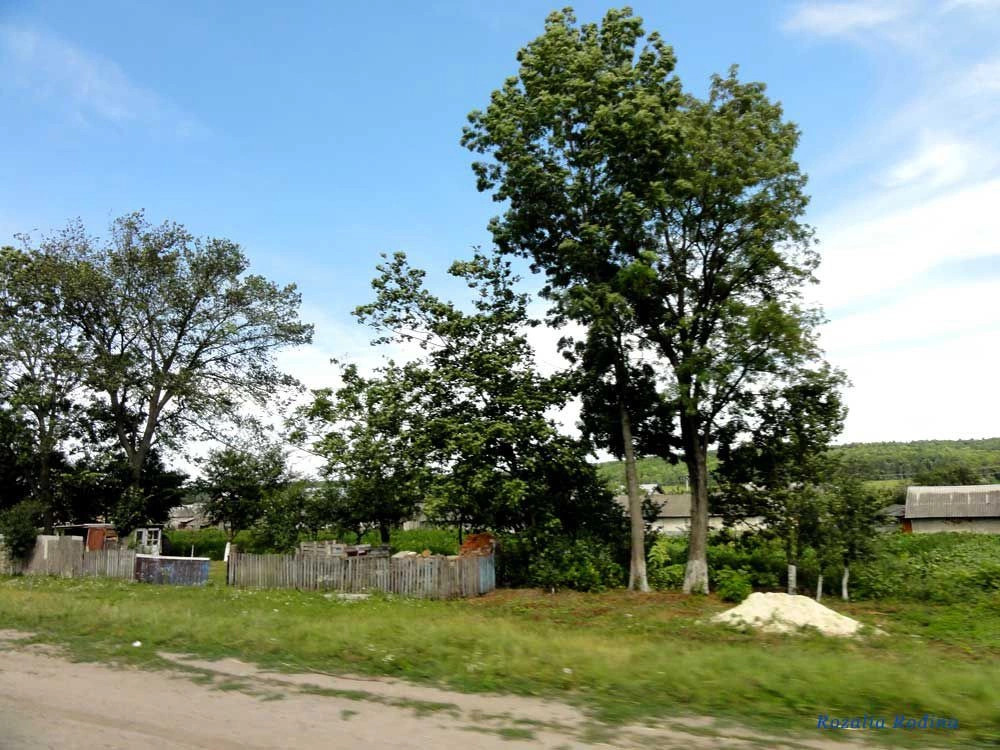 Лучка